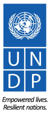 Logo for UNDP